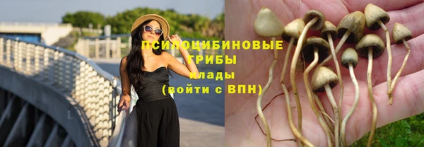 прущая мука Абаза