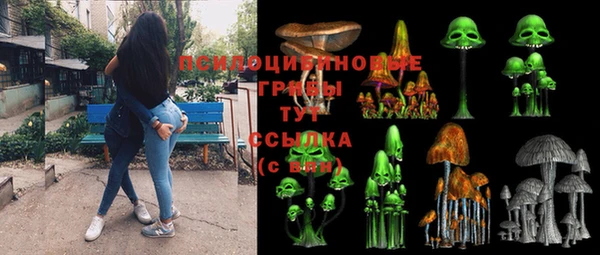 прущая мука Абаза