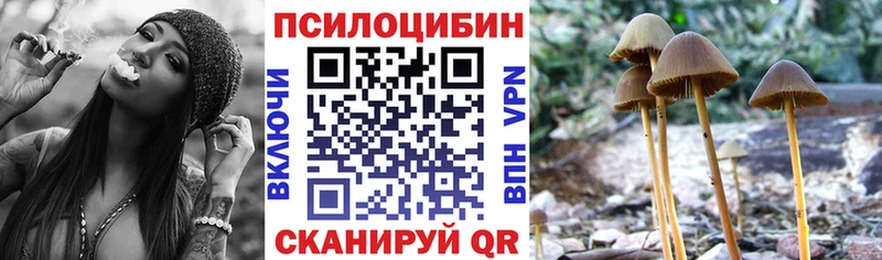 Галлюциногенные грибы мицелий  blacksprut ссылка  Шиханы 